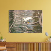 Snowy Egret Canvas Afdruk (Insitu (Woonkamer))