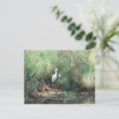 Snowy Egret en Fake Gator Wenskaart Briefkaart (Staand voorkant)