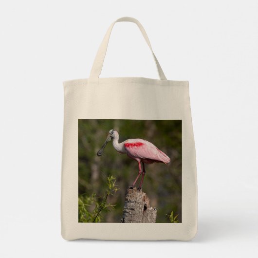 Snowy Egret en Roseate Spoonbill Canvas tas (Achterkant)