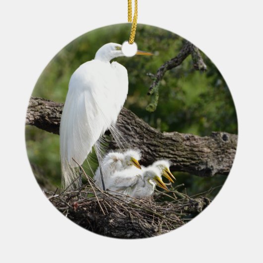 Snowy Egret Family Keramisch Ornament (Voorkant)