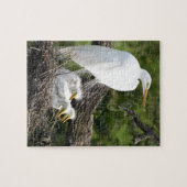 Snowy Egret Family Legpuzzel (Horizontaal)