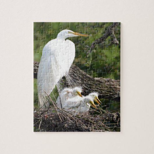 Snowy Egret Family Legpuzzel (Verticaal)