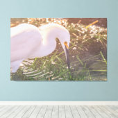 Snowy Egret foerageren in het water Canvas Afdruk (Insitu (Houten vloer))