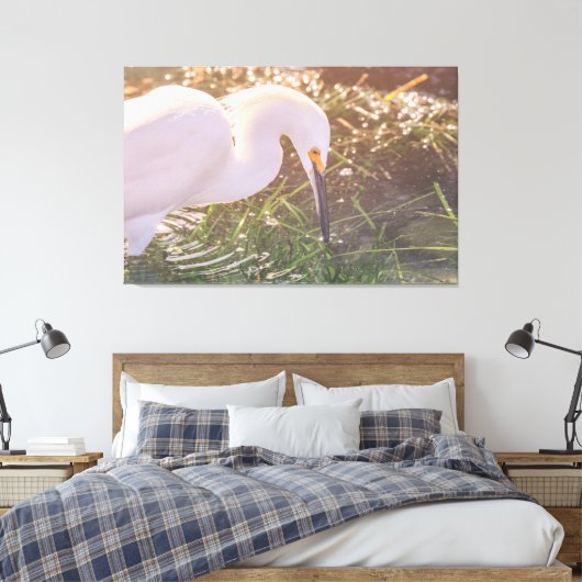 Snowy Egret foerageren in het water Canvas Afdruk (Insitu (Slaapkamer))