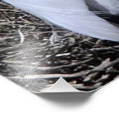 Snowy Egret Foto Afdruk (Hoek)