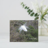 Snowy Egret Foto Briefkaart (Staand voorkant)