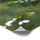 Snowy Egret Foto Poster (Hoek)