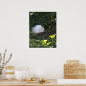 Snowy Egret Foto Poster (Keuken)
