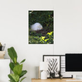 Snowy Egret Foto Poster (Thuiskantoor)
