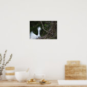 Snowy Egret Foto Poster (Keuken)