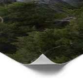 Snowy Egret Foto Poster (Hoek)