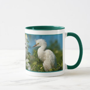 Snowy Egret Good Morning Mok
