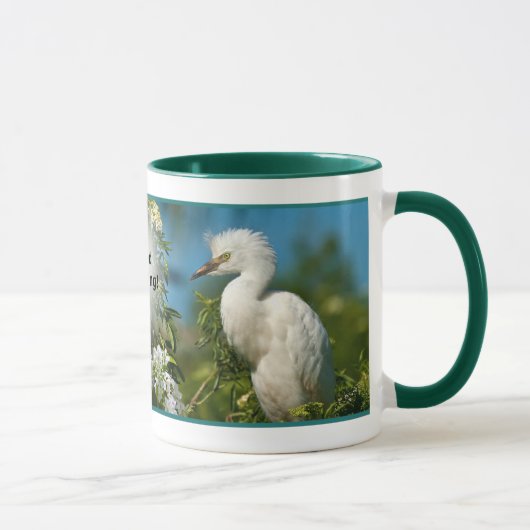 Snowy Egret Good Morning Mok (Rechts)