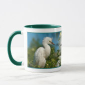 Snowy Egret Good Morning Mok (Links)