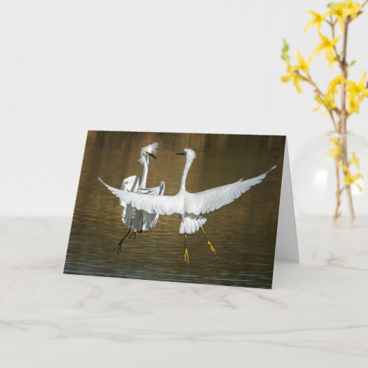 Snowy Egret Greeting Card Kaart (Gele Bloem)