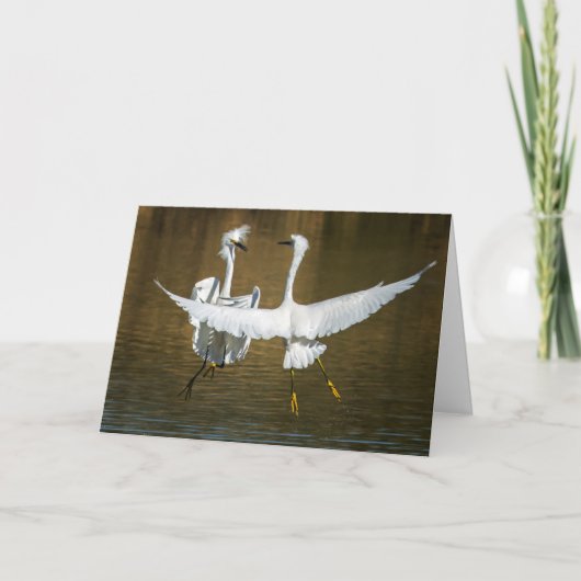 Snowy Egret Greeting Card Kaart (Voorkant)