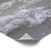 Snowy Egret in het Surf Poster (Hoek)