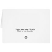 Snowy egret in the  Fall color (Achterkant Horizontaal)