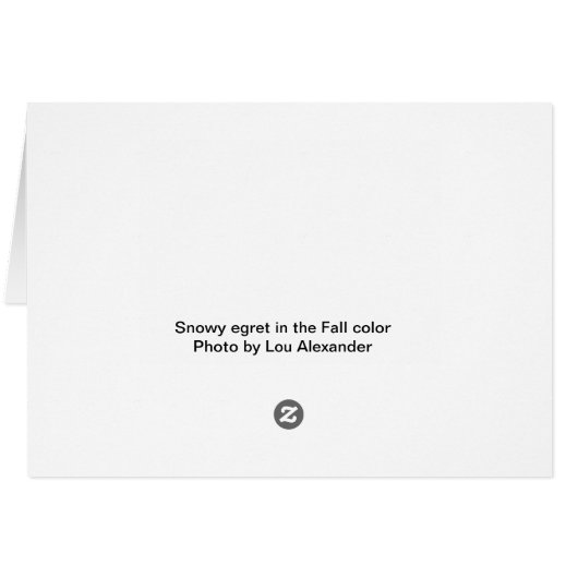 Snowy egret in the  Fall color (Achterkant Horizontaal)