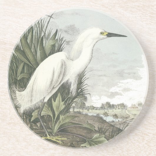 Snowy Egret, John Audubon Zandsteen Onderzetter (Voorkant)