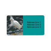 Snowy Egret Label (Voorkant)