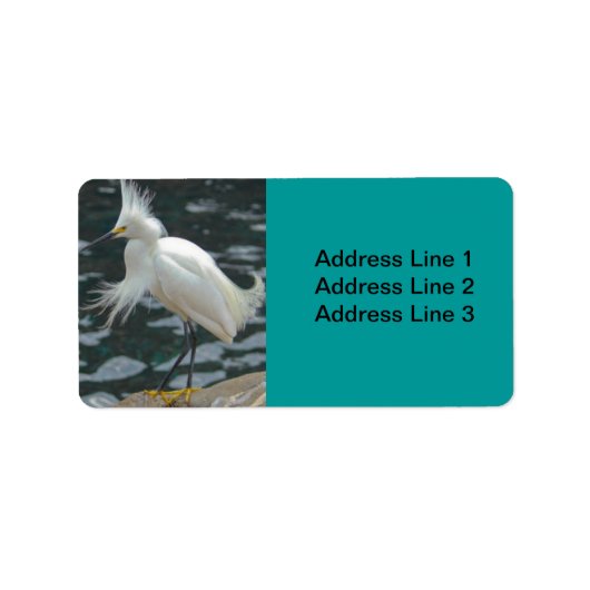 Snowy Egret Label (Voorkant)