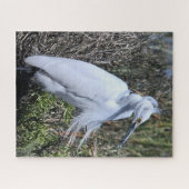 Snowy Egret Legpuzzel (Horizontaal)