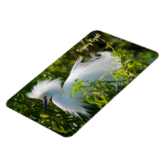 Snowy Egret Magneet (Linkerzijde)