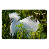 Snowy Egret Magneet (Horizontaal)