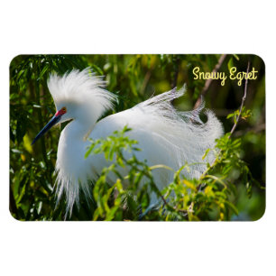 Snowy Egret Magneet