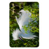 Snowy Egret Magneet (Verticaal)