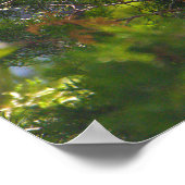 Snowy Egret met Baby Poster (Hoek)