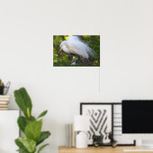 Snowy Egret met Baby Poster (Thuiskantoor)