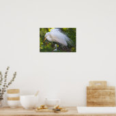 Snowy Egret met Baby Poster (Keuken)