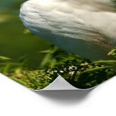 Snowy Egret met Flowers Print of Poster (Hoek)
