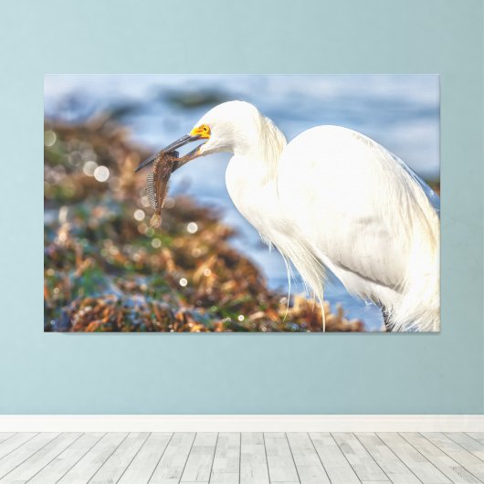 Snowy Egret met vis Canvas Afdruk (Insitu (Houten vloer))