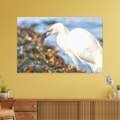 Snowy Egret met vis Canvas Afdruk (Insitu (Woonkamer))