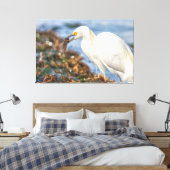 Snowy Egret met vis Canvas Afdruk (Insitu (Slaapkamer))
