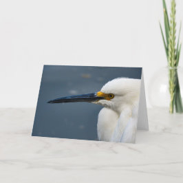 Snowy Egret Notecard Kaart