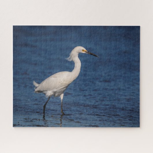Snowy Egret op Noordstrand Legpuzzel (Horizontaal)