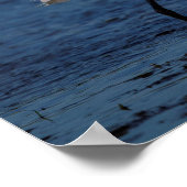 Snowy Egret op Noordstrand Poster (Hoek)