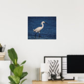 Snowy Egret op Noordstrand Poster (Thuiskantoor)