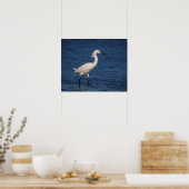 Snowy Egret op Noordstrand Poster (Keuken)