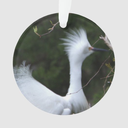 Snowy Egret Ornament (voorkant)