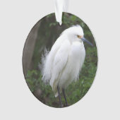 Snowy Egret Ornament (voorkant)