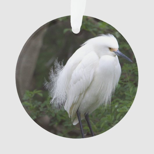 Snowy Egret Ornament (voorkant)