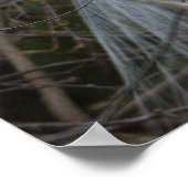 Snowy Egret Poster (Hoek)