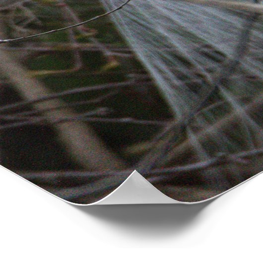 Snowy Egret Poster (Hoek)