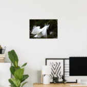 Snowy Egret Poster (Thuiskantoor)