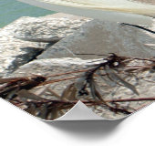 Snowy Egret Poster (Hoek)